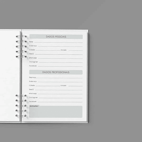 Arquivo Agenda Semanal 30min Cinza - Bicho Papel 3