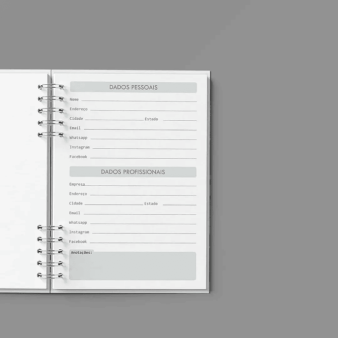 Arquivo Agenda Semanal 30min Cinza - Bicho Papel 3