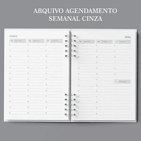 Arquivo Agenda Semanal 30min Cinza - Bicho Papel 1