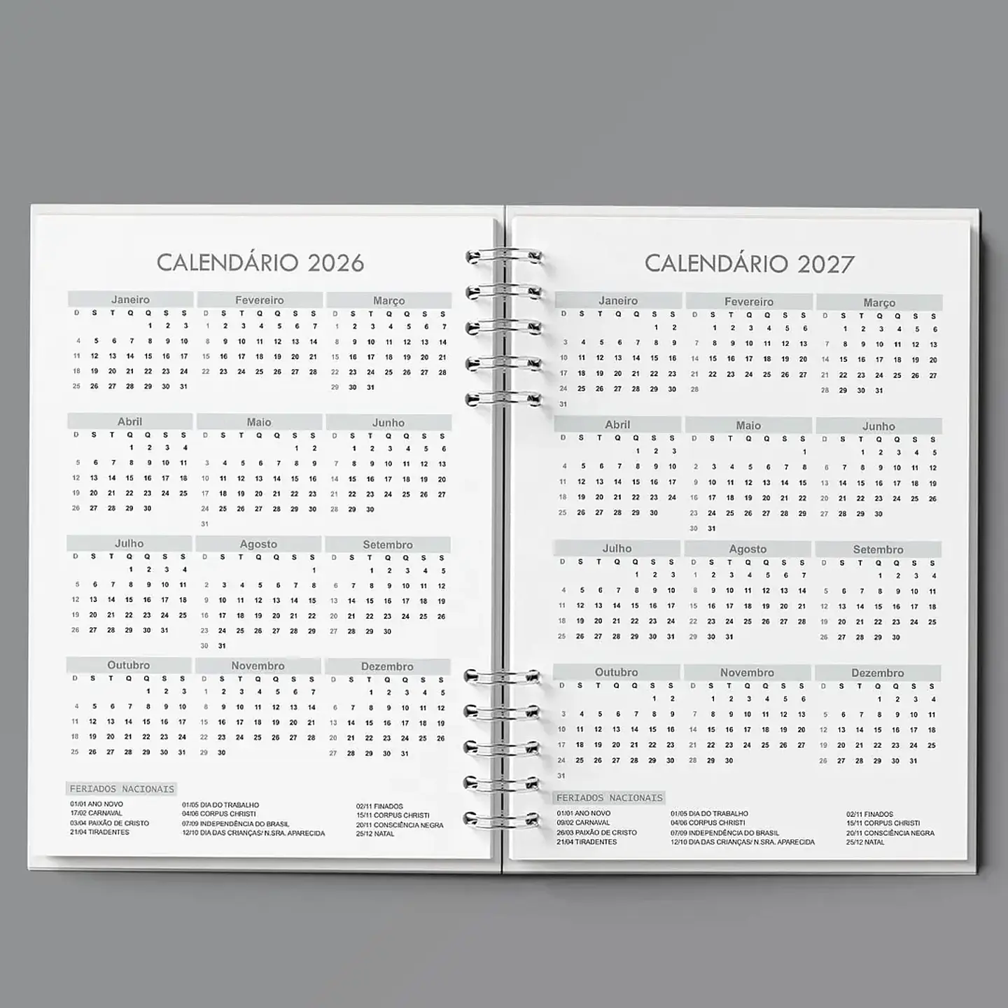 Arquivo Agenda Semanal 30min Cinza - Bicho Papel 5