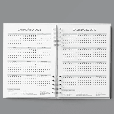 Arquivo Agenda Semanal 30min Cinza - Bicho Papel 5