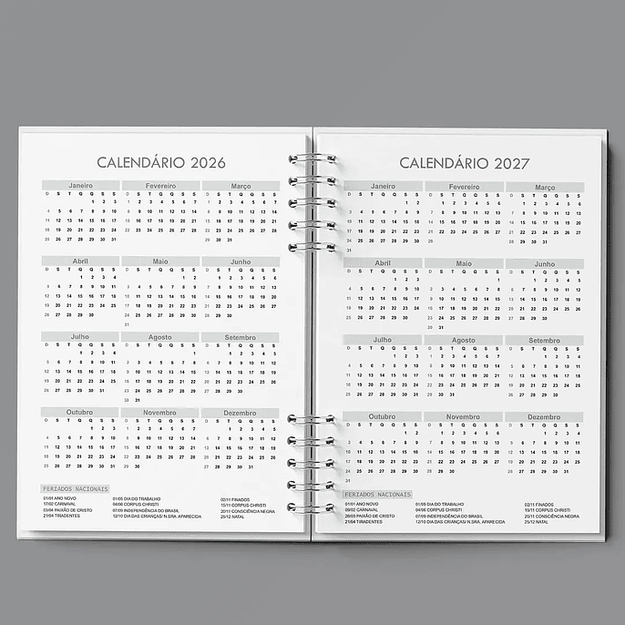 Arquivo Agenda Semanal 30min Cinza - Bicho Papel 5