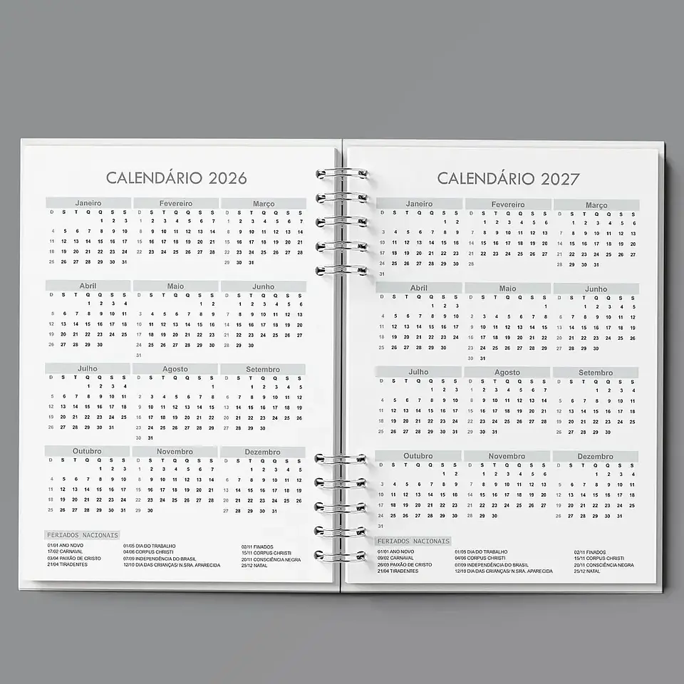 Arquivo Agenda Semanal 30min Cinza - Bicho Papel 5