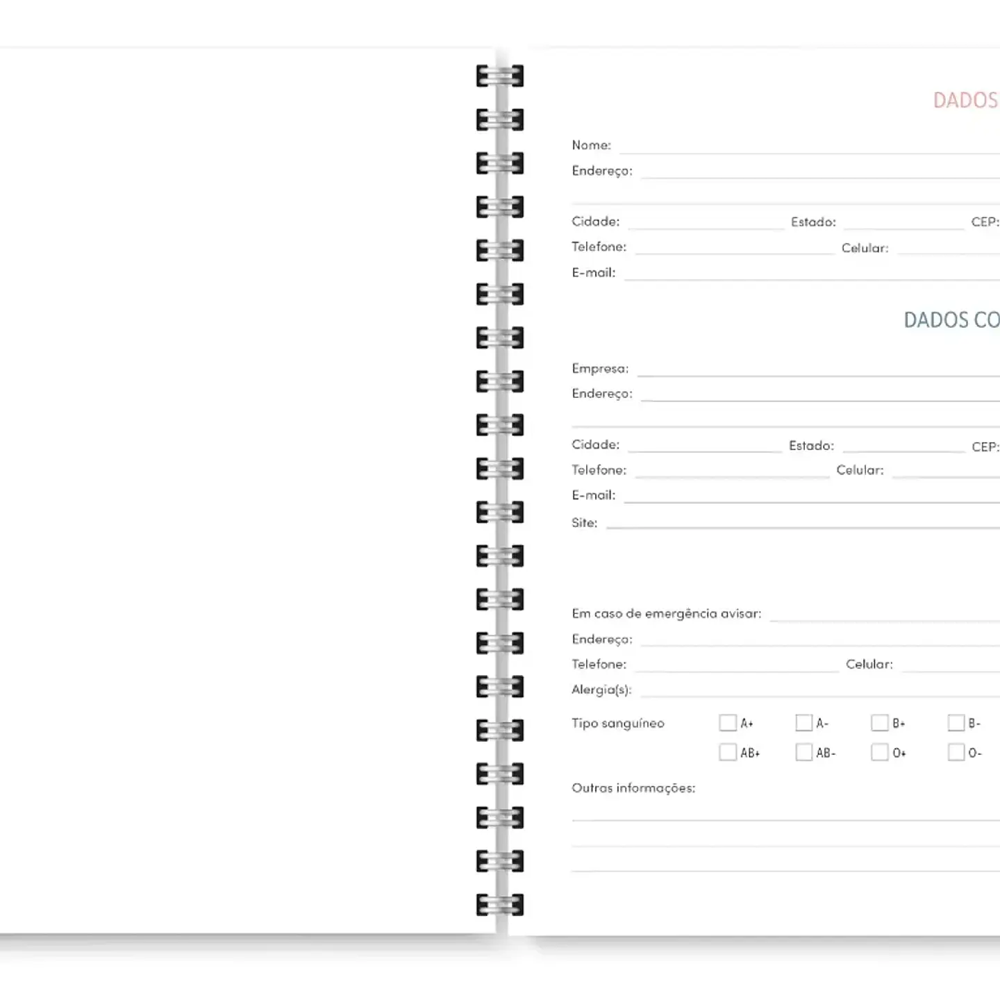 Arquivo Miolo Agenda Cores Não Datada 1DPP E 2DPP - TRILHA DE PAPEL 6