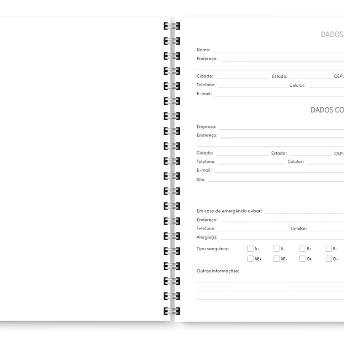 Arquivo Miolo Agenda Cores Não Datada 1DPP E 2DPP - TRILHA DE PAPEL 6