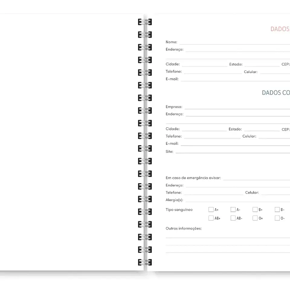 Arquivo Miolo Agenda Cores Não Datada 1DPP E 2DPP - TRILHA DE PAPEL 6