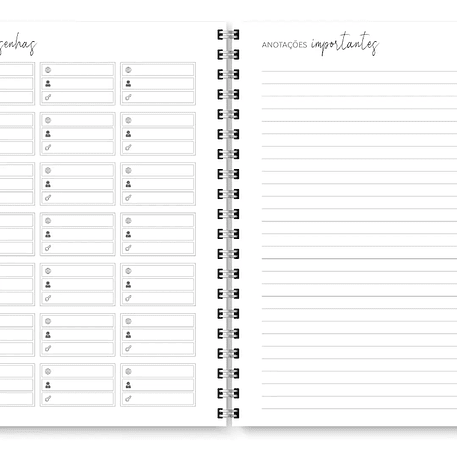 Arquivo Miolo Agenda Cores Não Datada 1DPP E 2DPP - TRILHA DE PAPEL 17