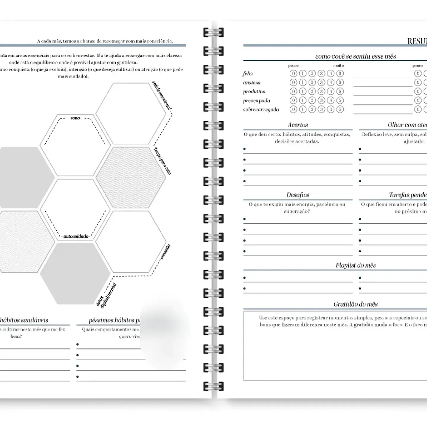Arquivo Planner Neutro 2026 - Trilha de Papel 13