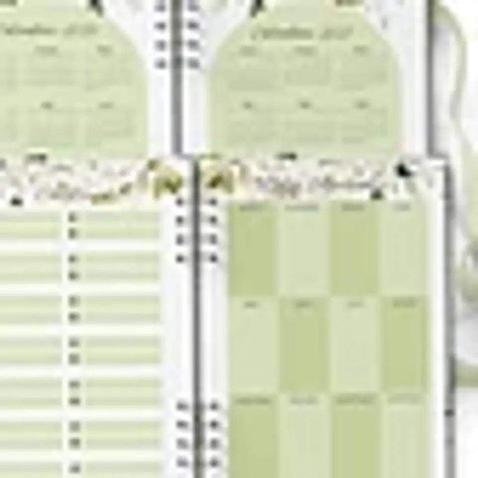 Arquivo Combo Agendas 2026 Perm Floral e Rosas Brancas - Bicho Papel 2