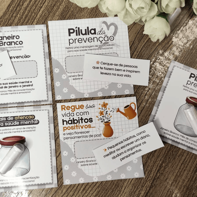Arquivo Card Pilula da Prevenção 2