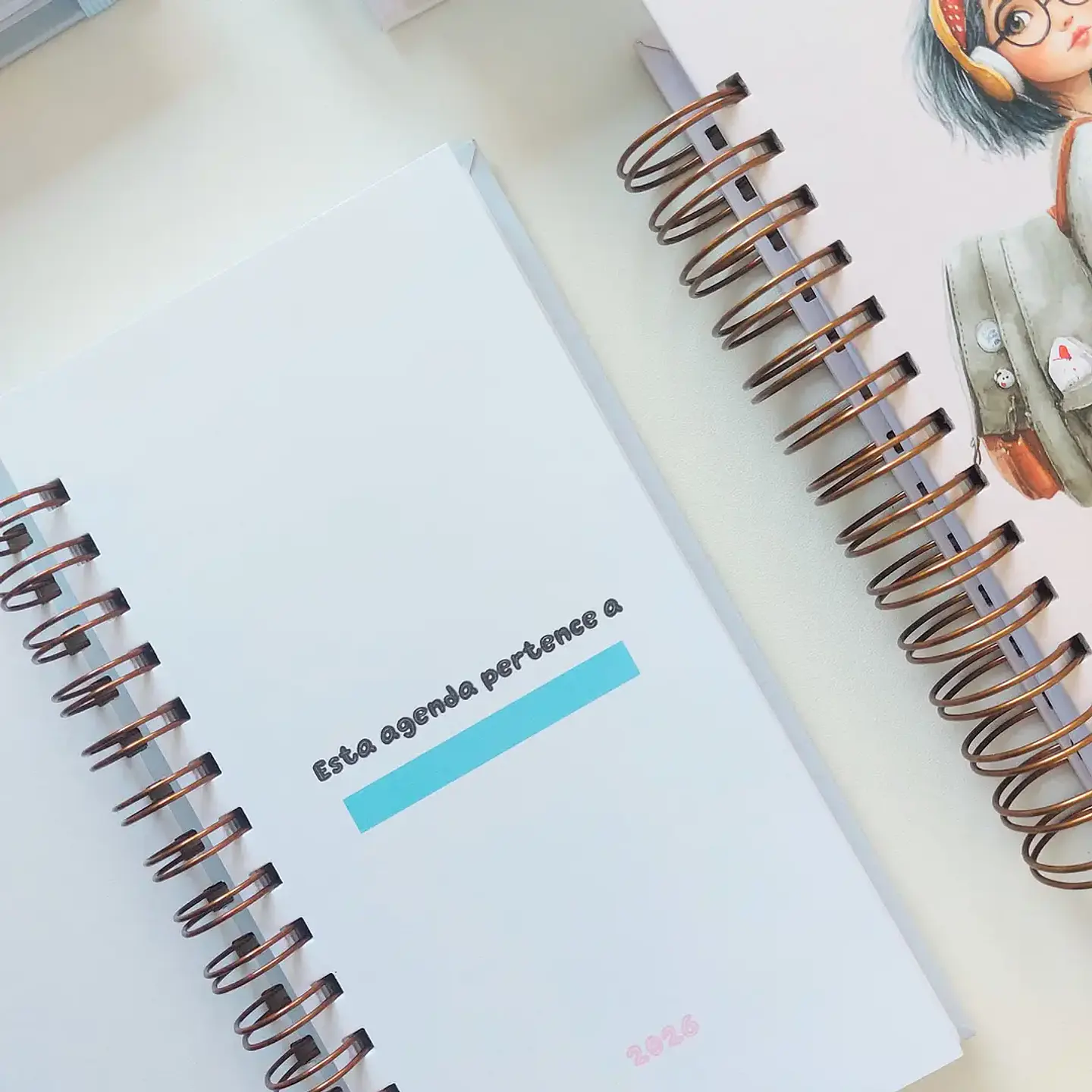 Arquivo Agenda Escolares 2026 3