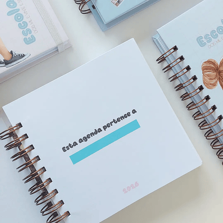 Arquivo Agenda Escolares 2026 14