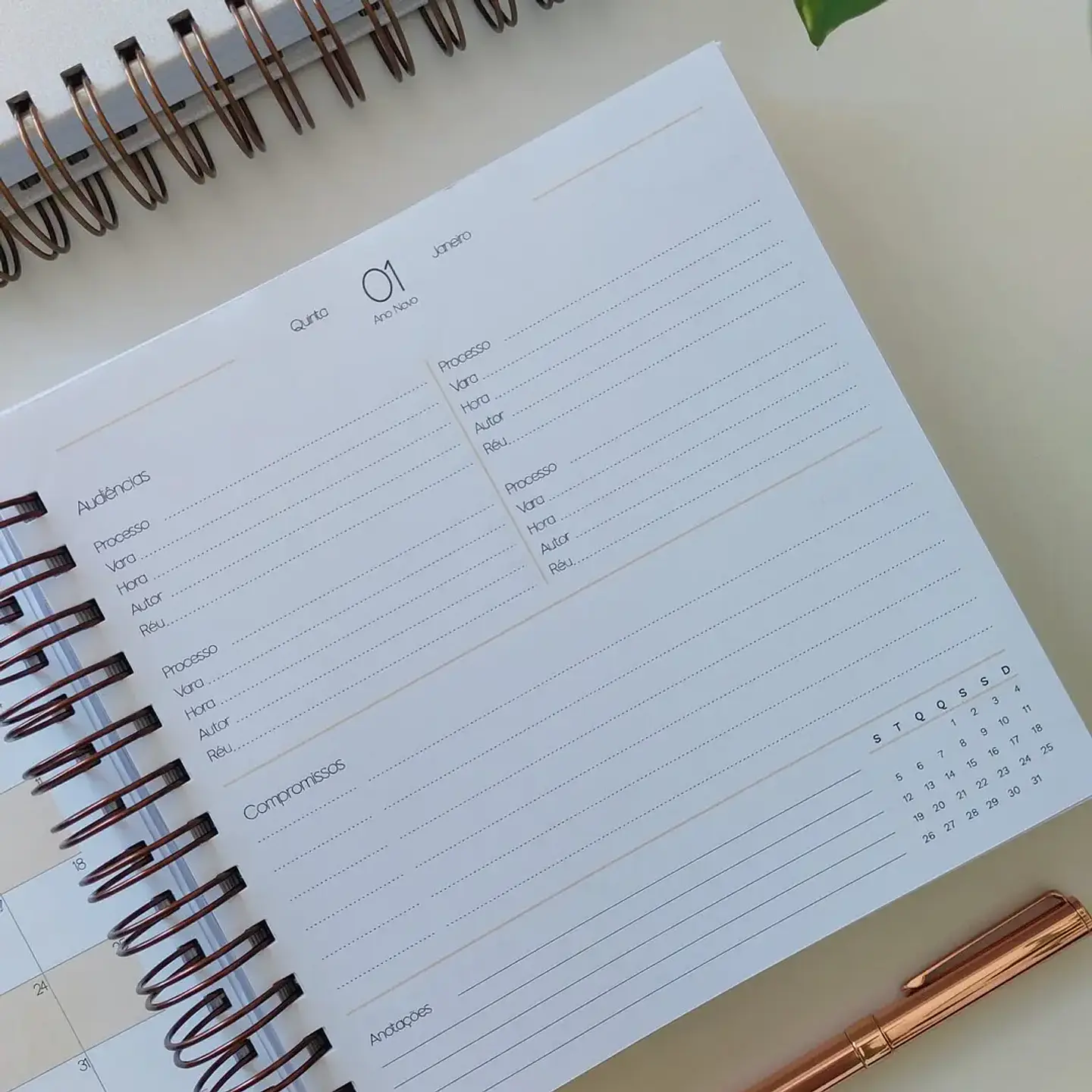 Arquivo Agenda Jurídica  11