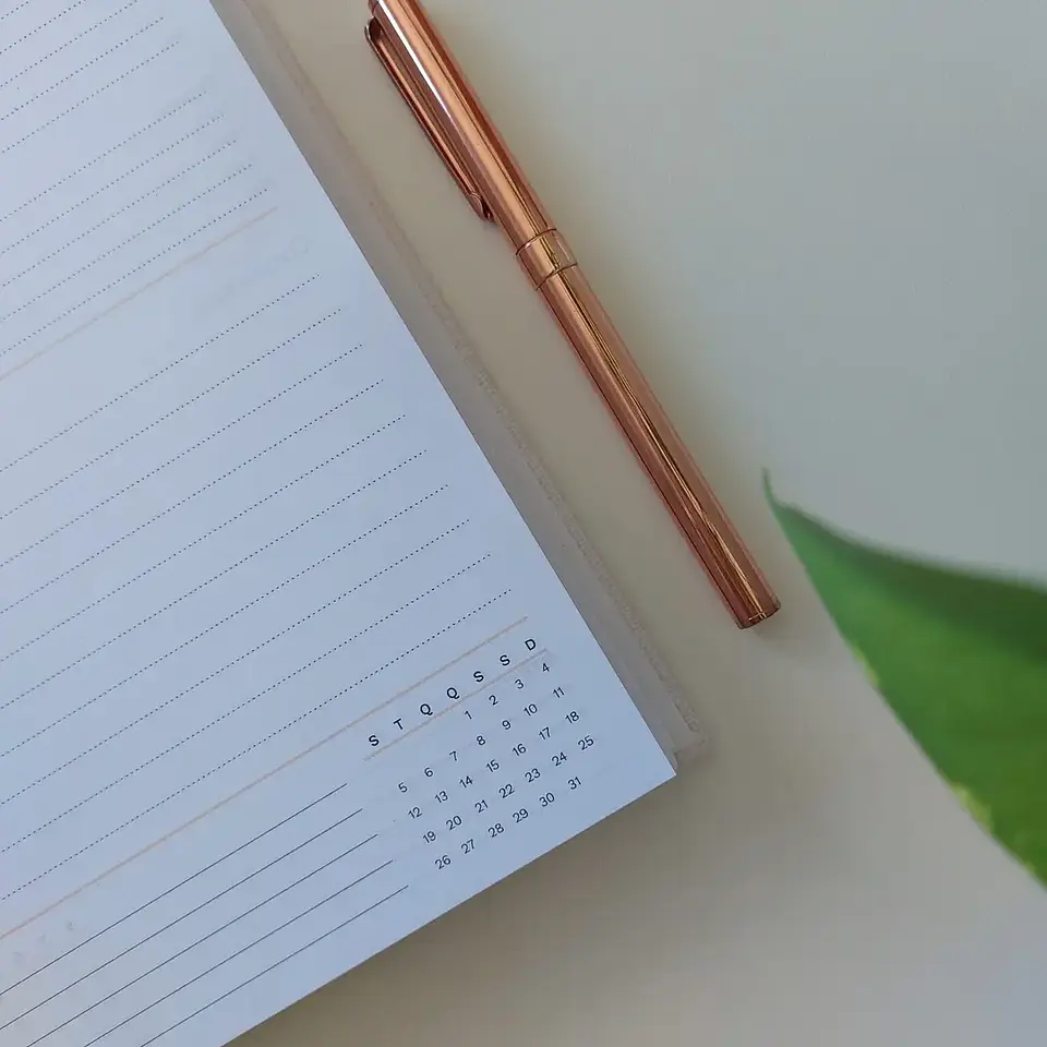 Arquivo Agenda Jurídica  12