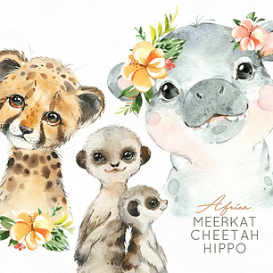 Kit Digital Africa- Animais