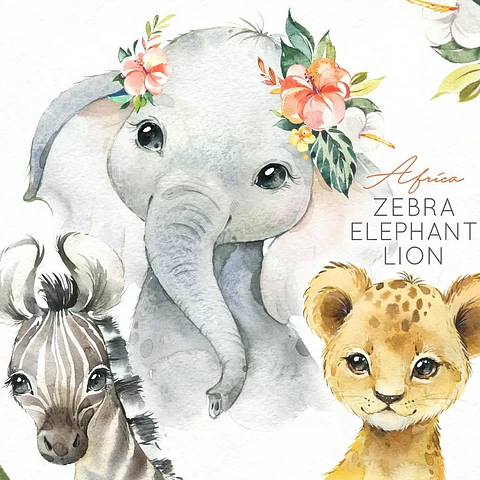 Kit Digital Africa- Animais