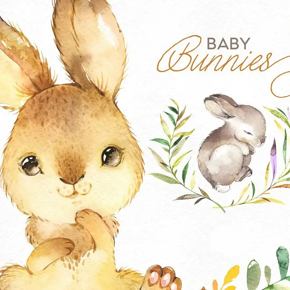 Kit Digital Coelhinho Baby 1