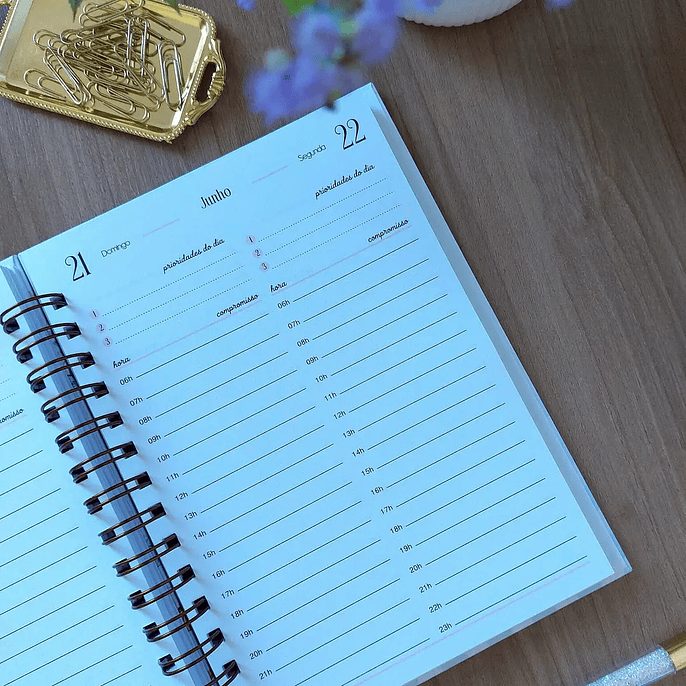 Arquivo Coleção Harmonia Agendas 2026 - Marta Iurkiu 10