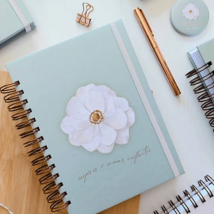 Arquivo Planner Coordenador Pedagógico