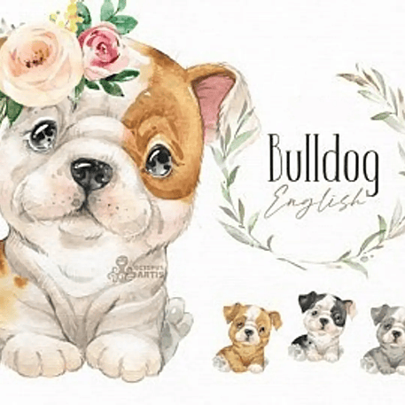 Kit Digital Bulldog Pets 1