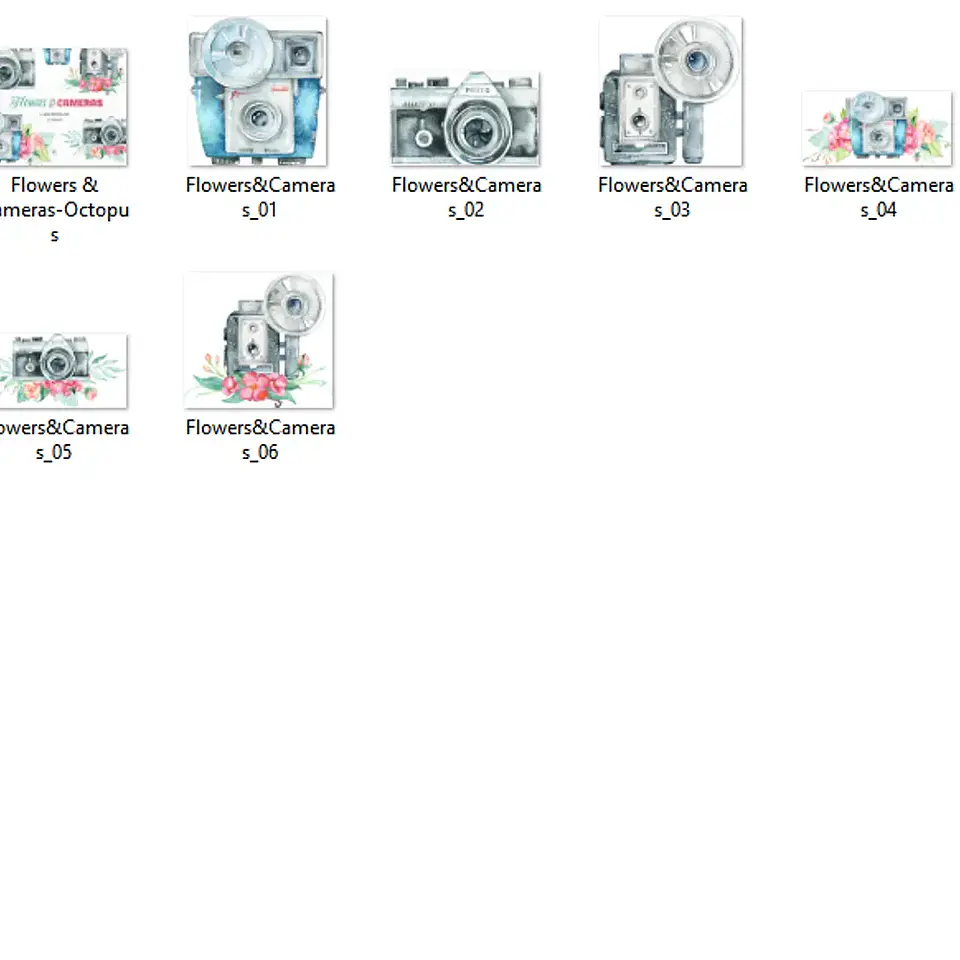 Kit Digital Cameras Floridas 2