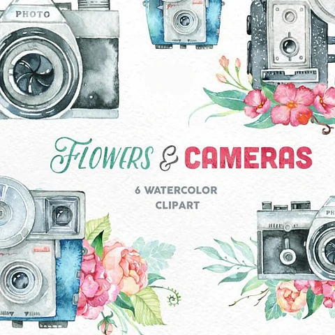Kit Digital Cameras Floridas