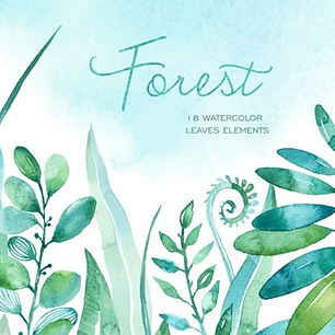 Kit Digital Folhas Na Floresta