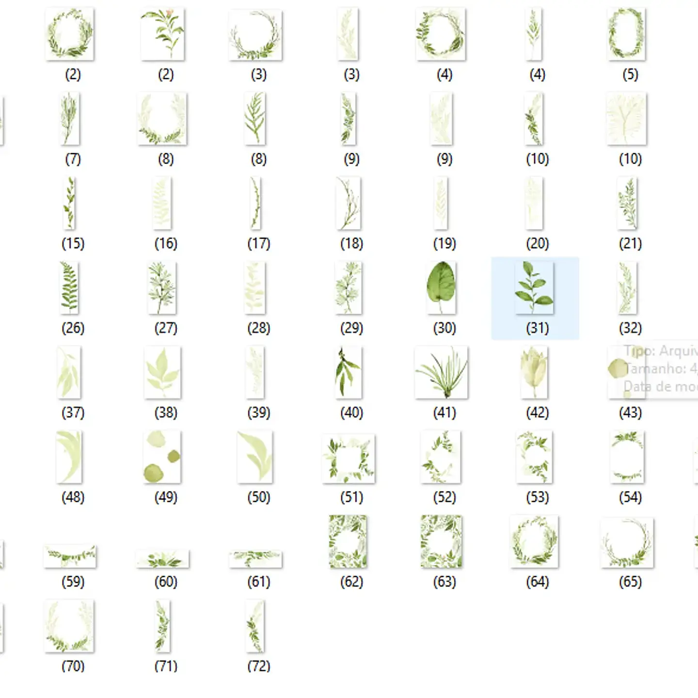 Kit Digital Folhas 2