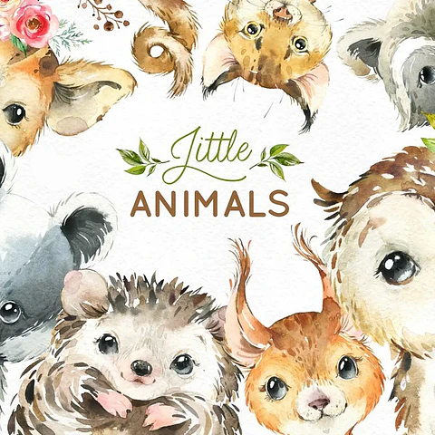 Kit Digital Animais da Floresta