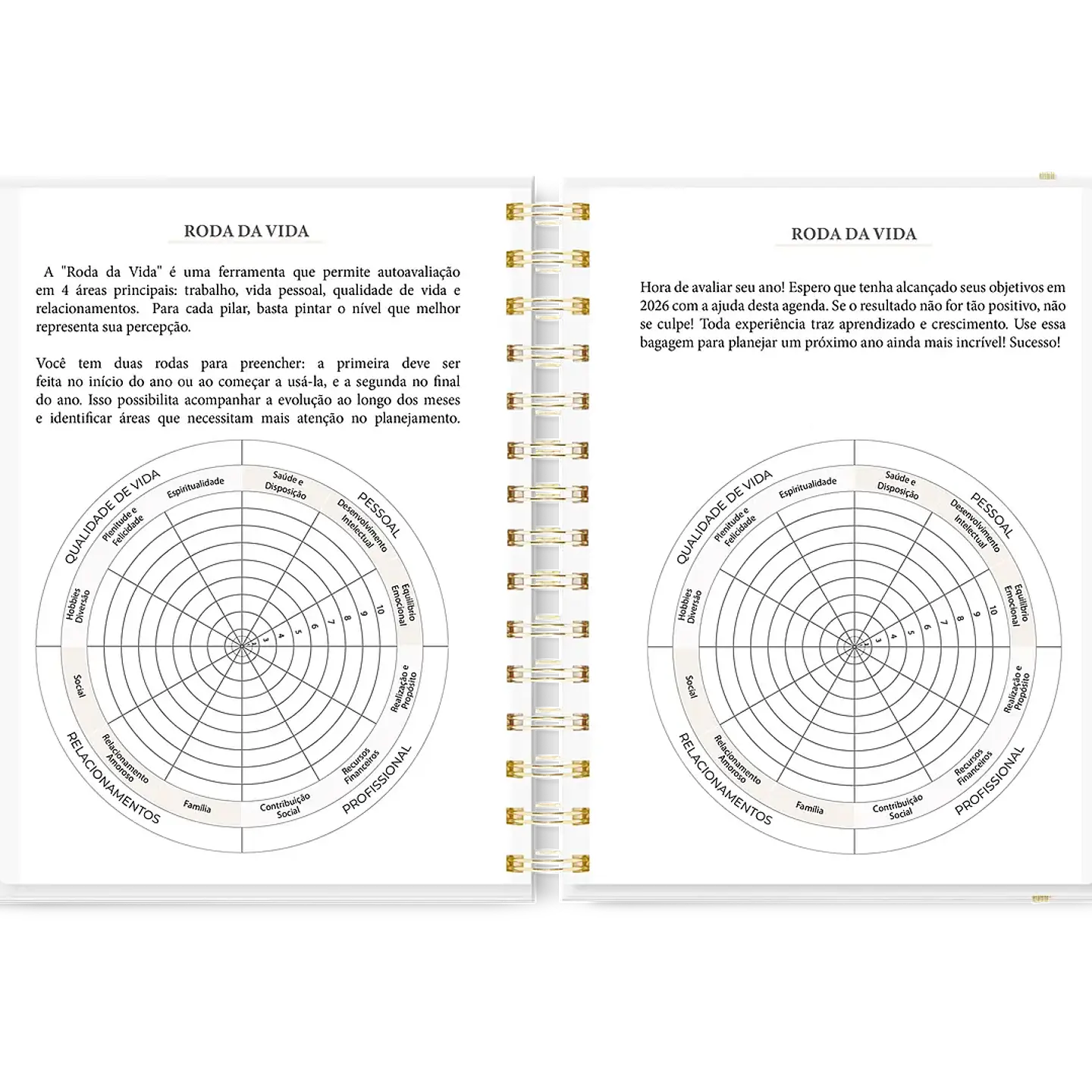 Arquivo Combo Completo Agenda 10