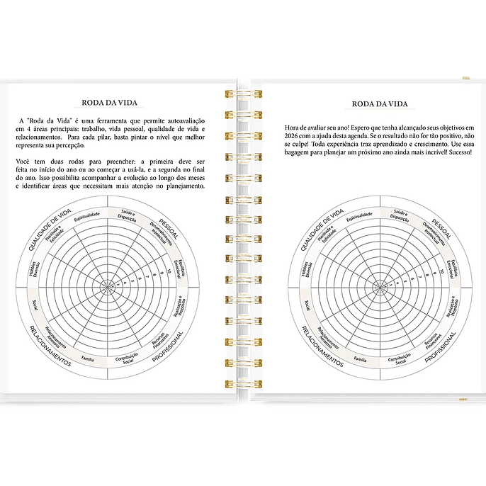 Arquivo Combo Completo Agenda 10