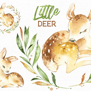 Kit Digital Cervo Baby