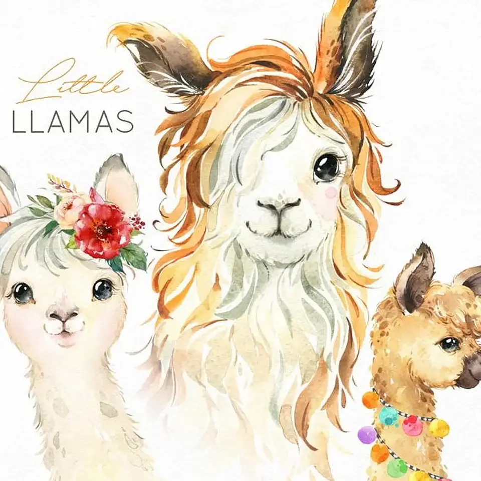 Kit Digital Iamas 1