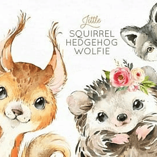 Kit Digital Animais da Floresta