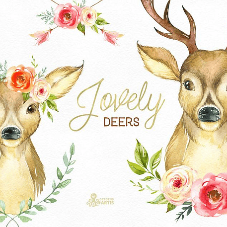 Kit Digital Dois Cervos 1