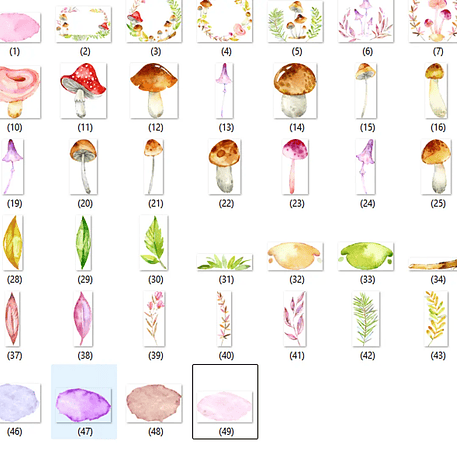 Kit Digital Cogumelos 2