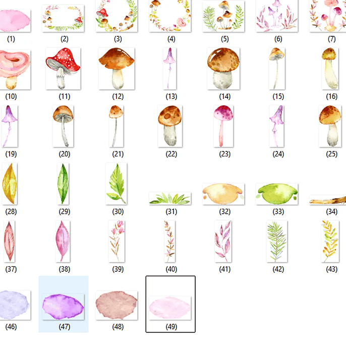 Kit Digital Cogumelos 2