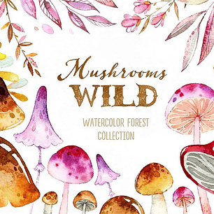 Kit Digital Cogumelos