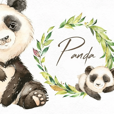 Kit Digital Panda Baby 1