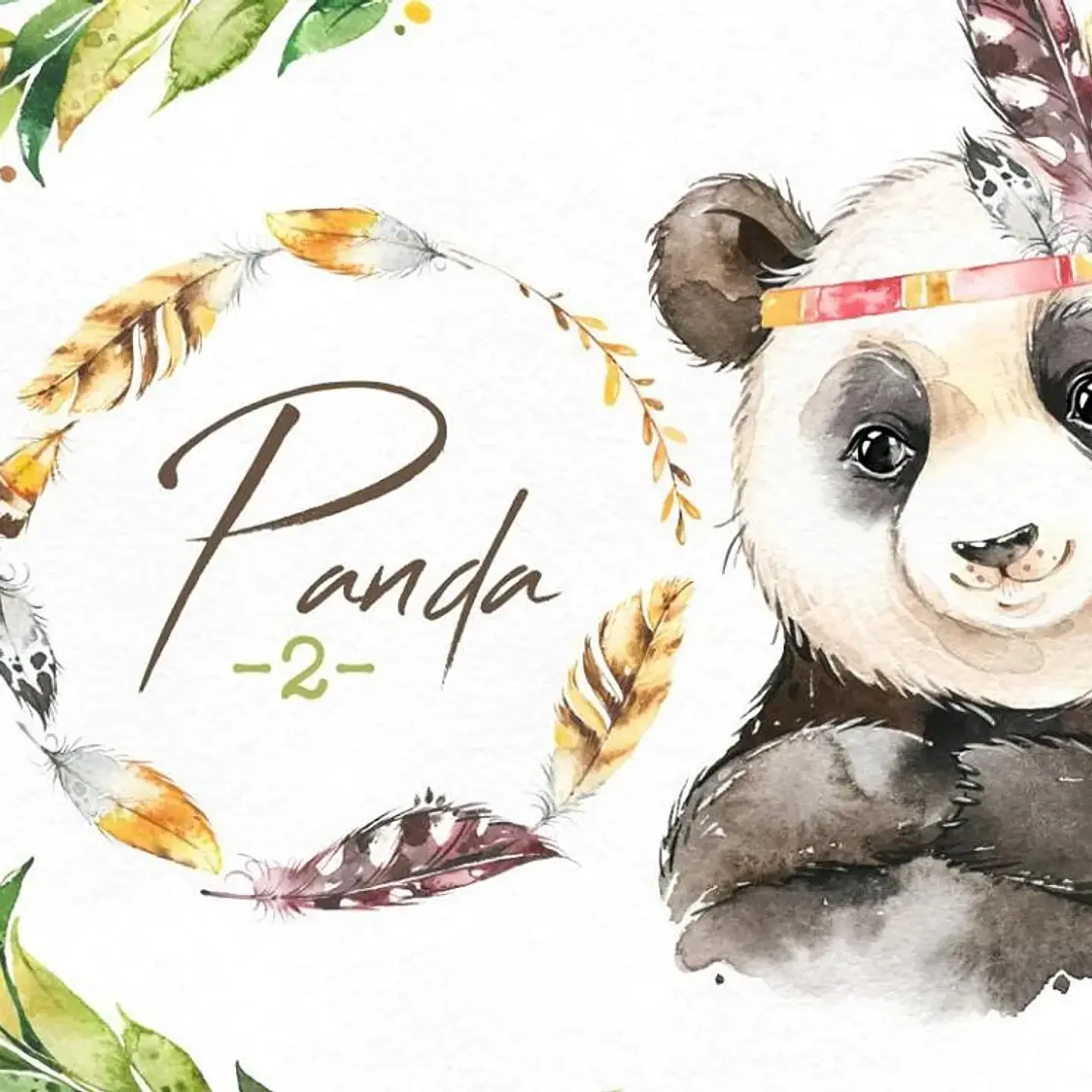 Kit Digital Panda 1