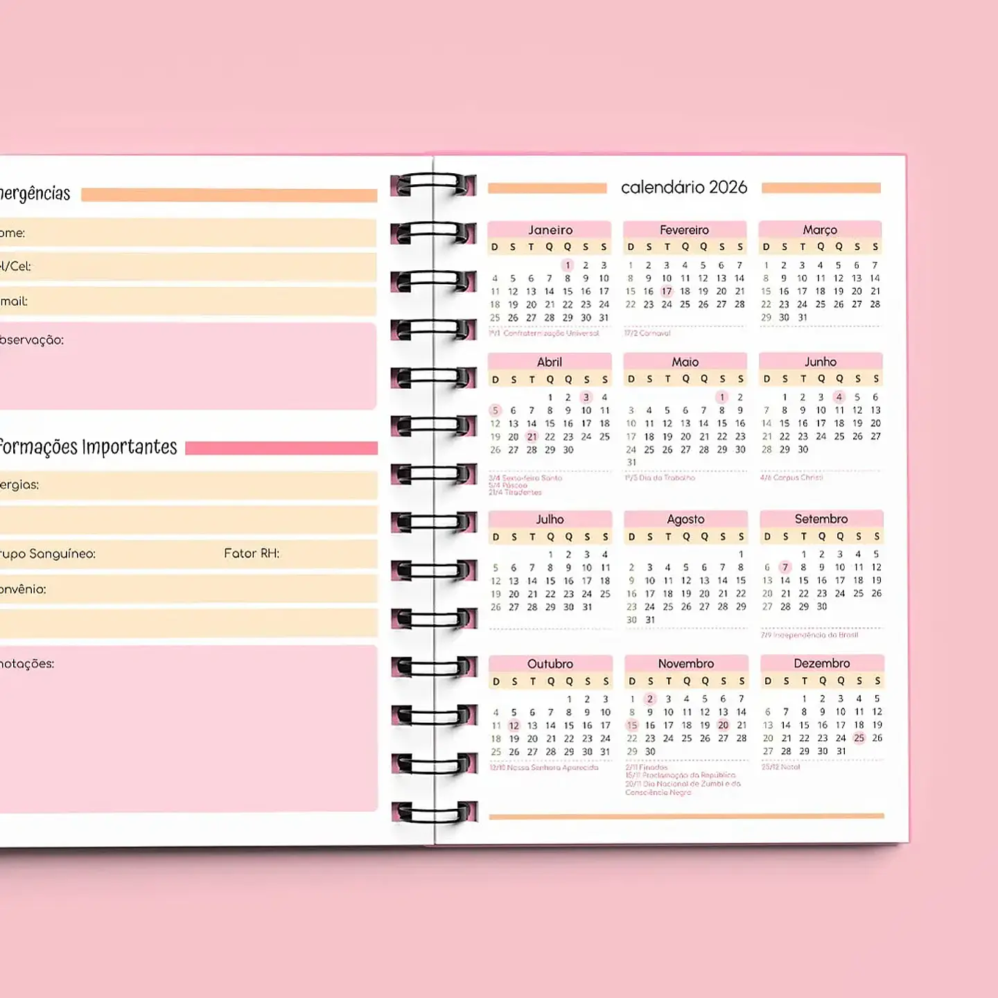 Arquivo Agenda Creche Sem Data 1DPP 2026/2027 4