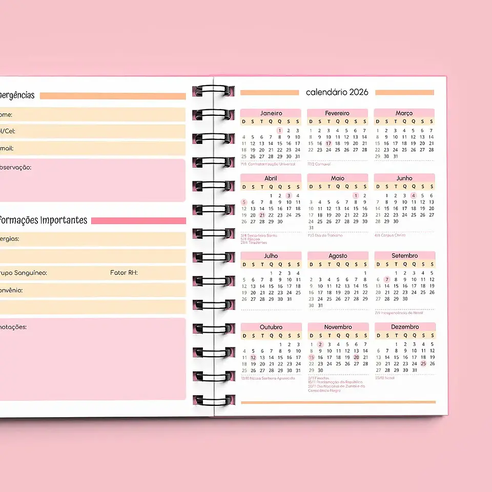 Arquivo Agenda Creche Sem Data 1DPP 2026/2027 4