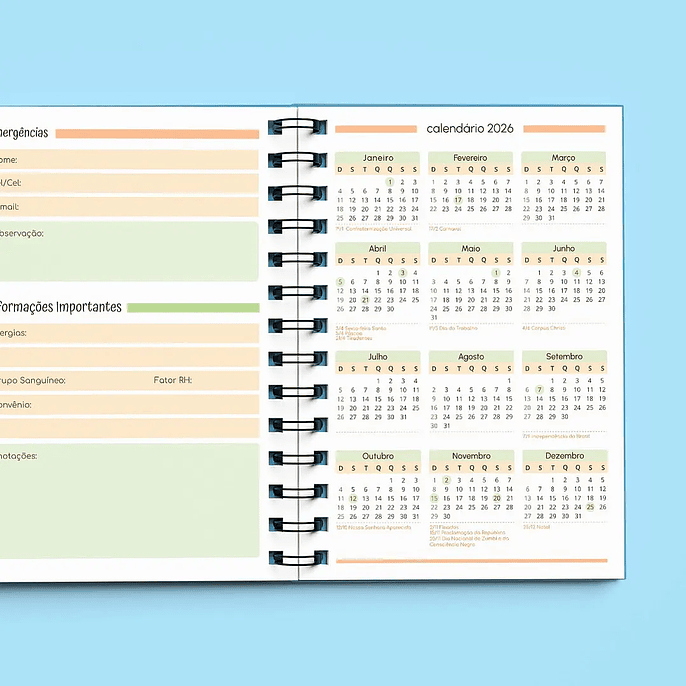 Arquivo Agenda Creche Sem Data 1DPP 2026/2027 10