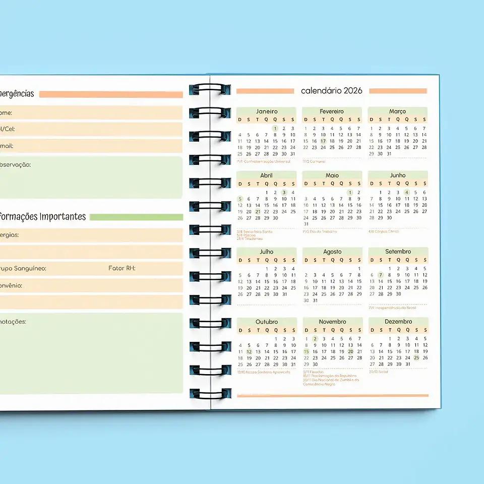 Arquivo Agenda Creche Sem Data 1DPP 2026/2027 10
