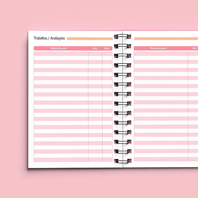 Arquivo Agenda Escolar Sem Data 1DPP + 2DPP 2026/2027 6