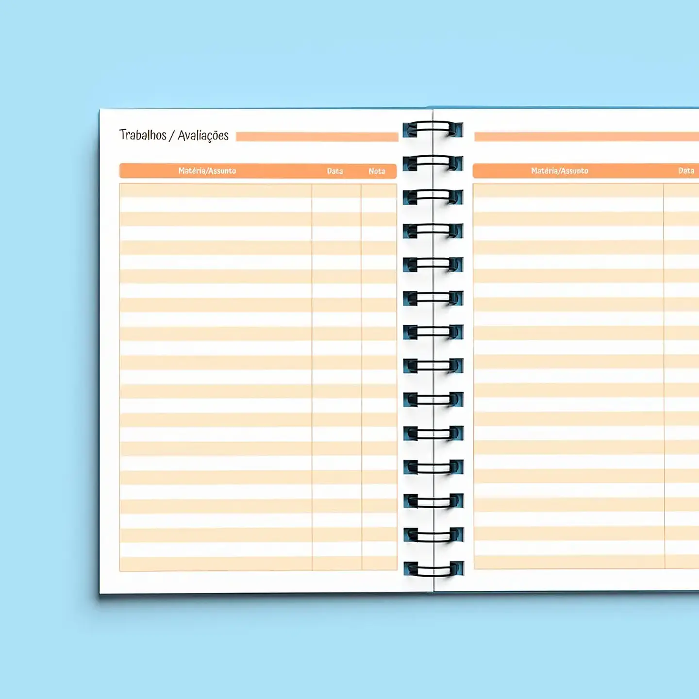 Arquivo Agenda Escolar Sem Data 1DPP + 2DPP 2026/2027 14