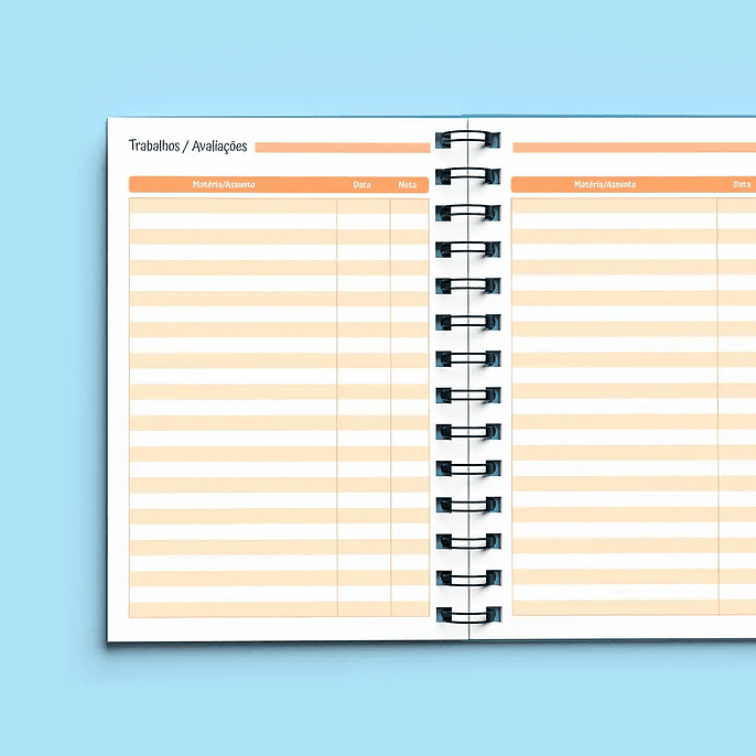 Arquivo Agenda Escolar Sem Data 1DPP + 2DPP 2026/2027 14