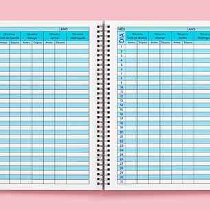 Arquivo Controle de Diabetes