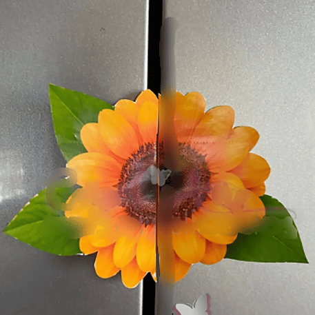 Arquivo Card Divulgação Girassol 1