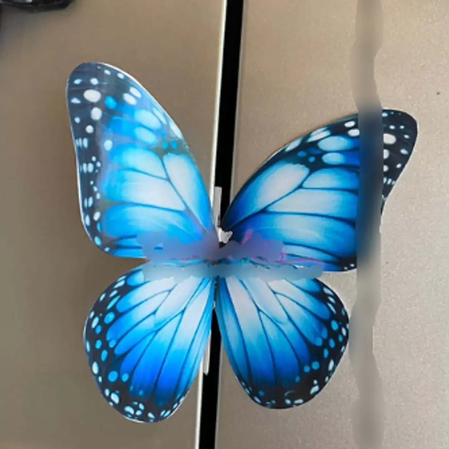 Arquivo Card Divulgação Borboleta 1